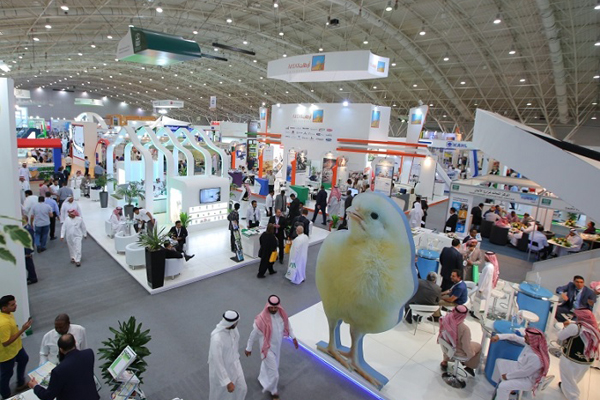 沙特利雅得建材展览会Saudi Build1.jpg